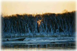 �i������